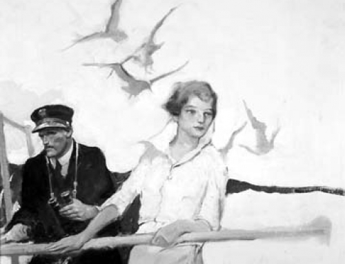 (1470cd) Girl and Sea Gulls