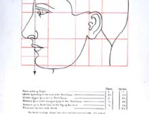 (sw097) Anatomical Drawing – Head in Profile